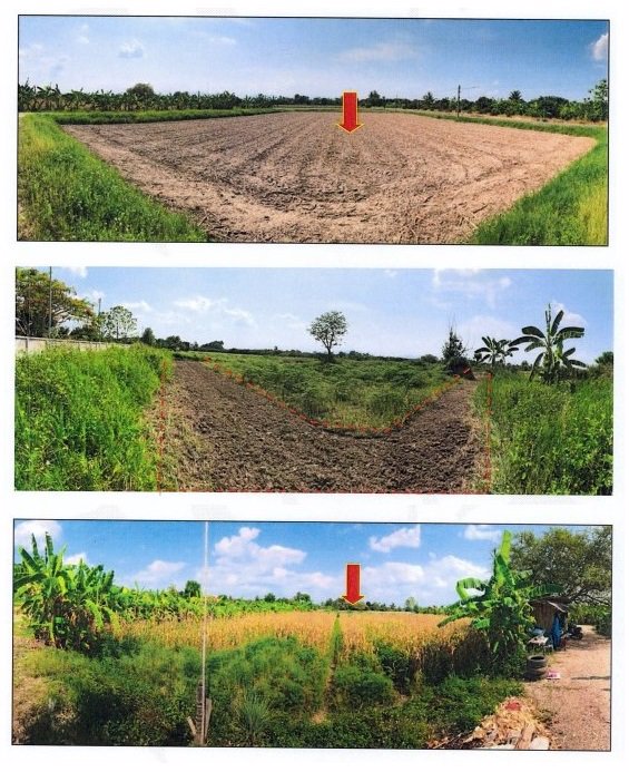 ขายที่ดินเปล่าจังหวัดเชียงใหม่-จำนวน-16-แปลง-ราคาขายเพียง-7677750-บาท-เจ้าของขายเอง