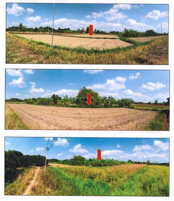 ขายที่ดินเปล่าจังหวัดเชียงใหม่-จำนวน-16-แปลง-ราคาขายเพียง-7677750-บาท-เจ้าของขายเอง