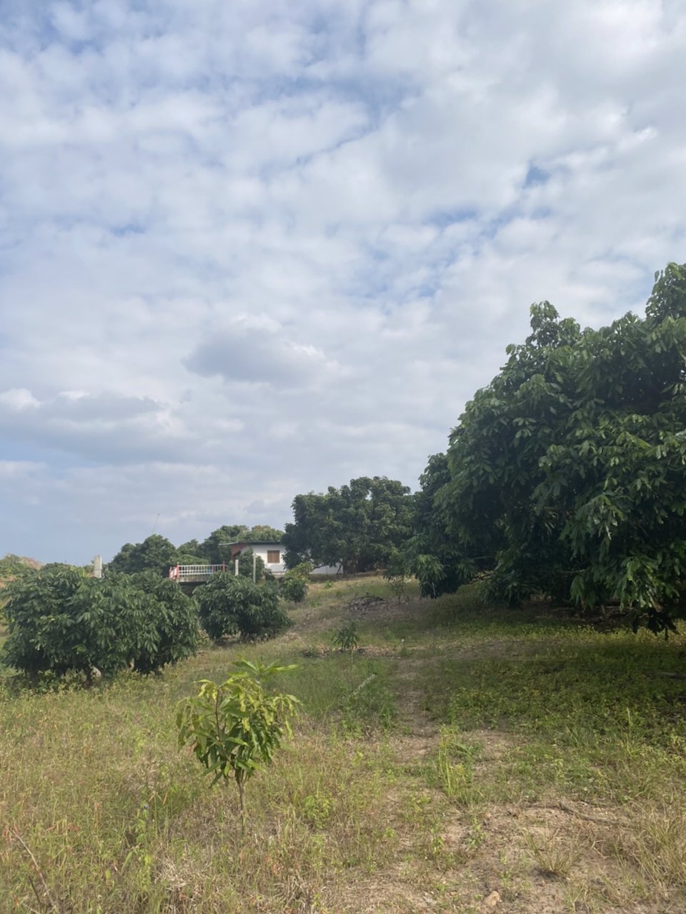 ขายบ้านพร้อมที่ดิน-25-ไร่-อำเภอเชียงดาว-จังหวัดเชียงใหม่