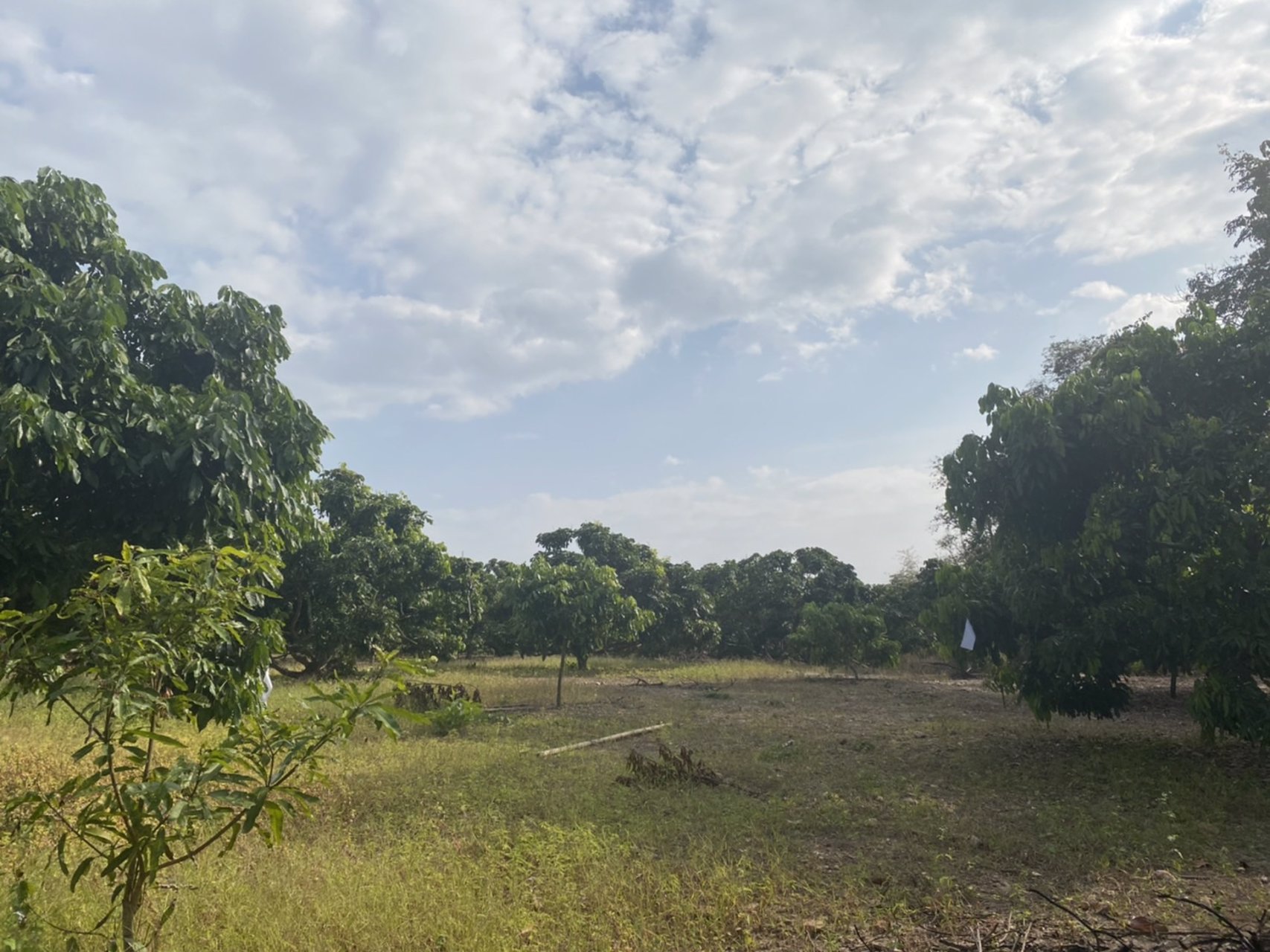 ขายบ้านพร้อมที่ดิน-25-ไร่-อำเภอเชียงดาว-จังหวัดเชียงใหม่