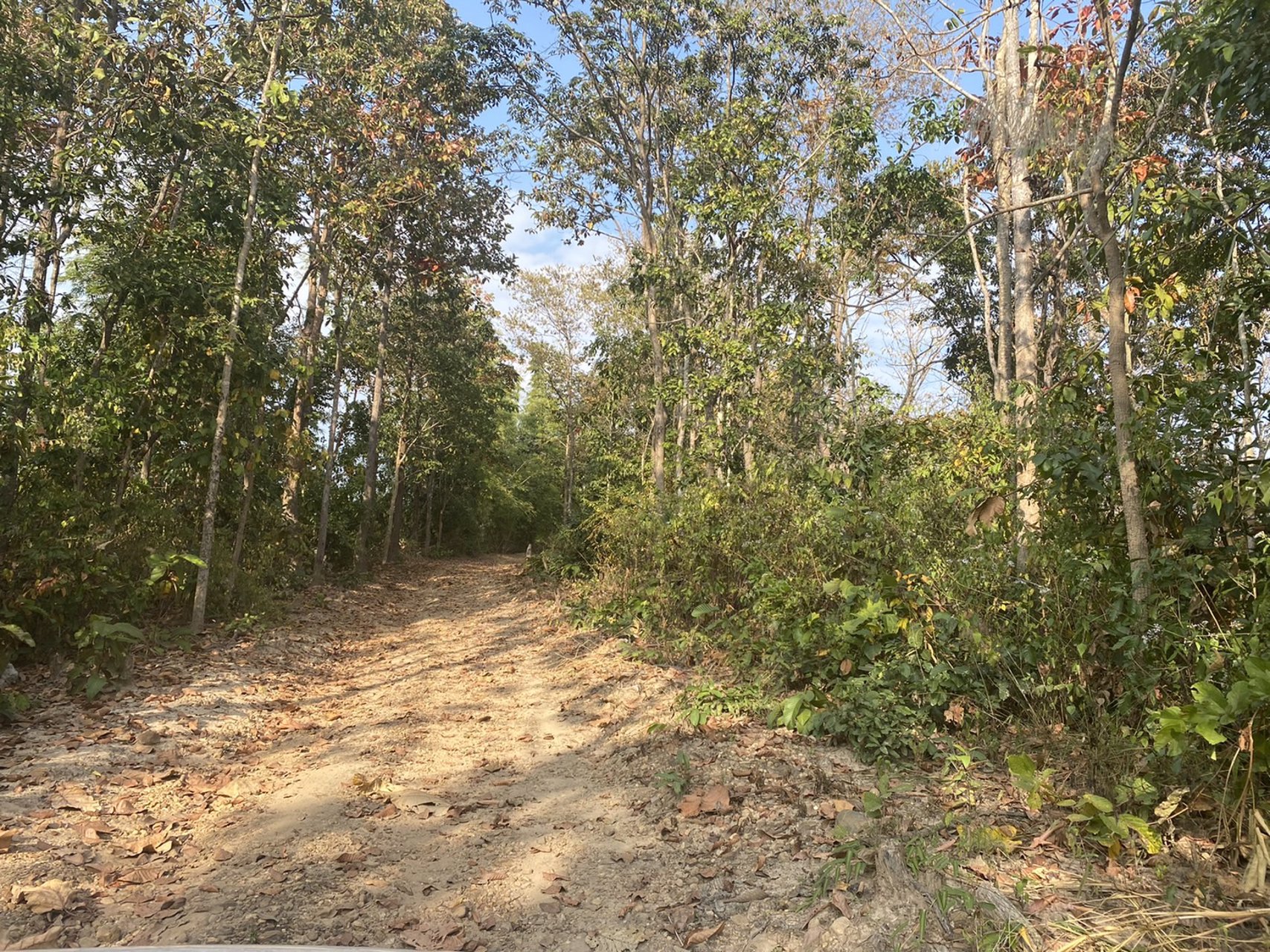 ขายบ้านพร้อมที่ดิน-25-ไร่-อำเภอเชียงดาว-จังหวัดเชียงใหม่