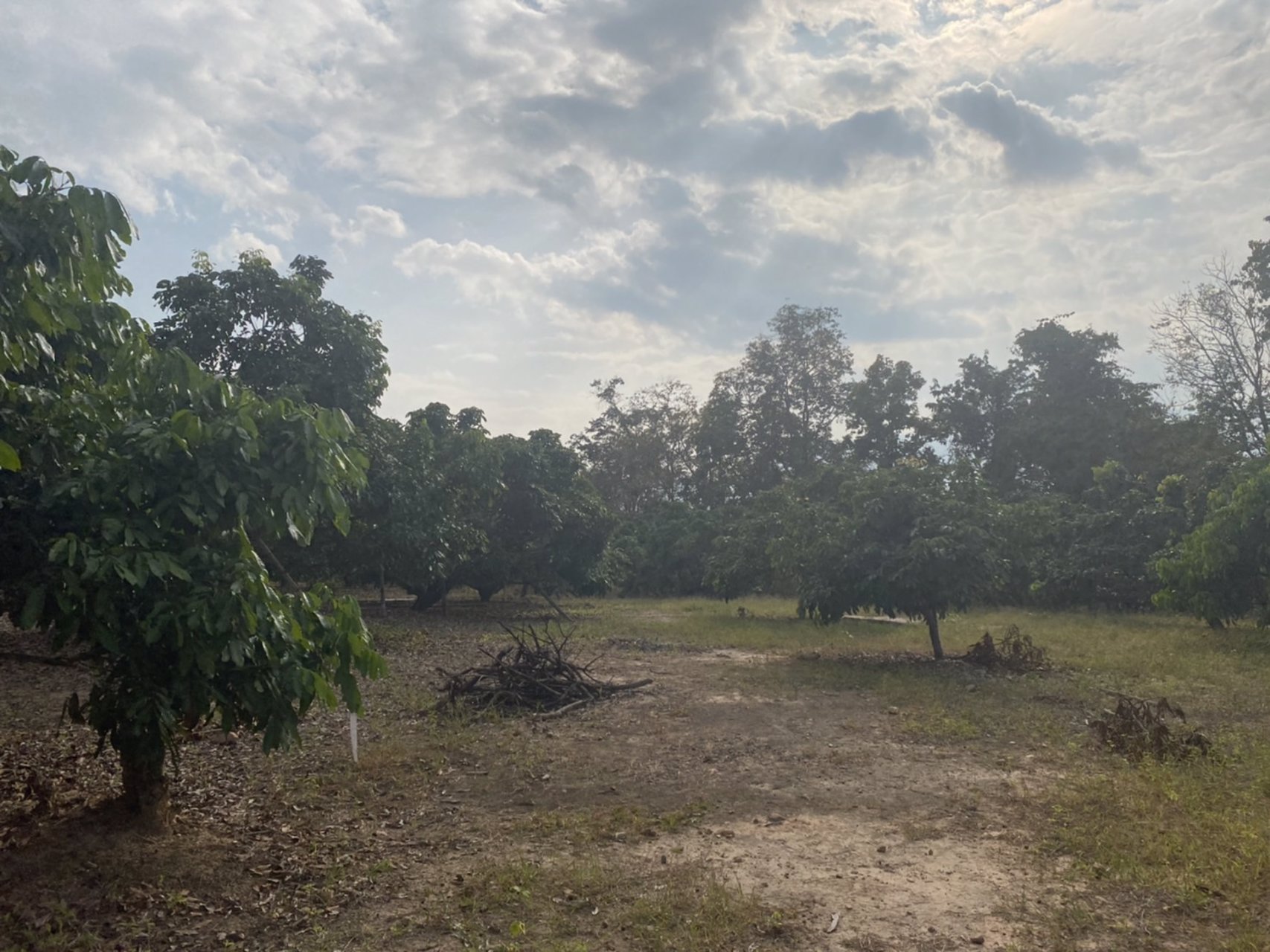 ขายบ้านพร้อมที่ดิน-25-ไร่-อำเภอเชียงดาว-จังหวัดเชียงใหม่