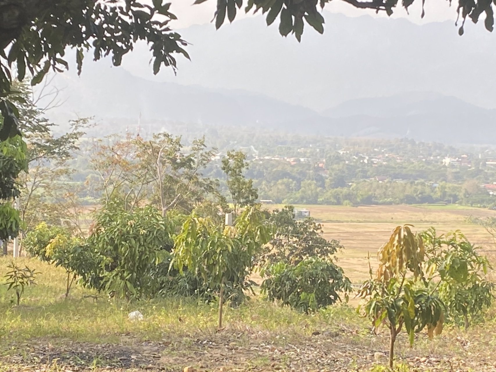 ขายบ้านพร้อมที่ดิน-25-ไร่-อำเภอเชียงดาว-จังหวัดเชียงใหม่