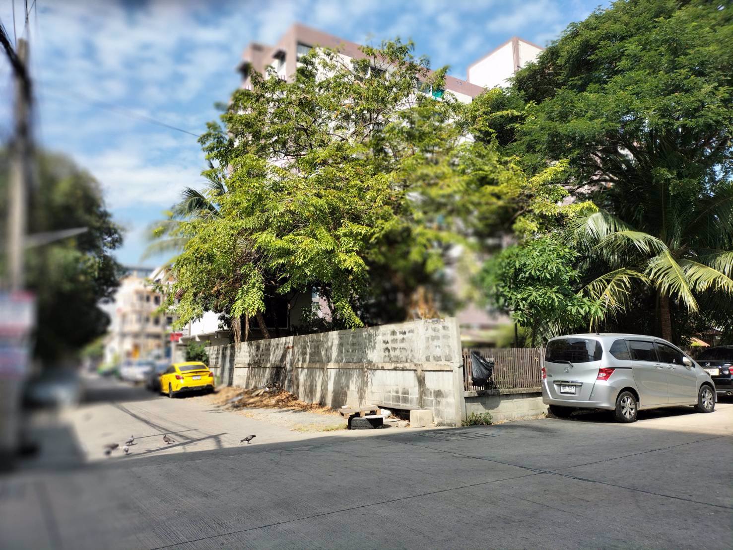 ขายที่ดินติดถนนสุขุมวิท-107-หัวมุมซอยแบริ่ง-14