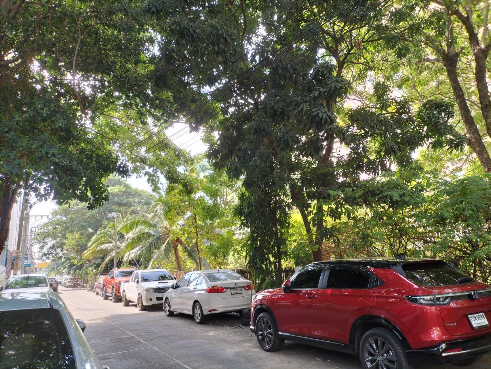 ขายที่ดินติดถนนสุขุมวิท-107-หัวมุมซอยแบริ่ง-14