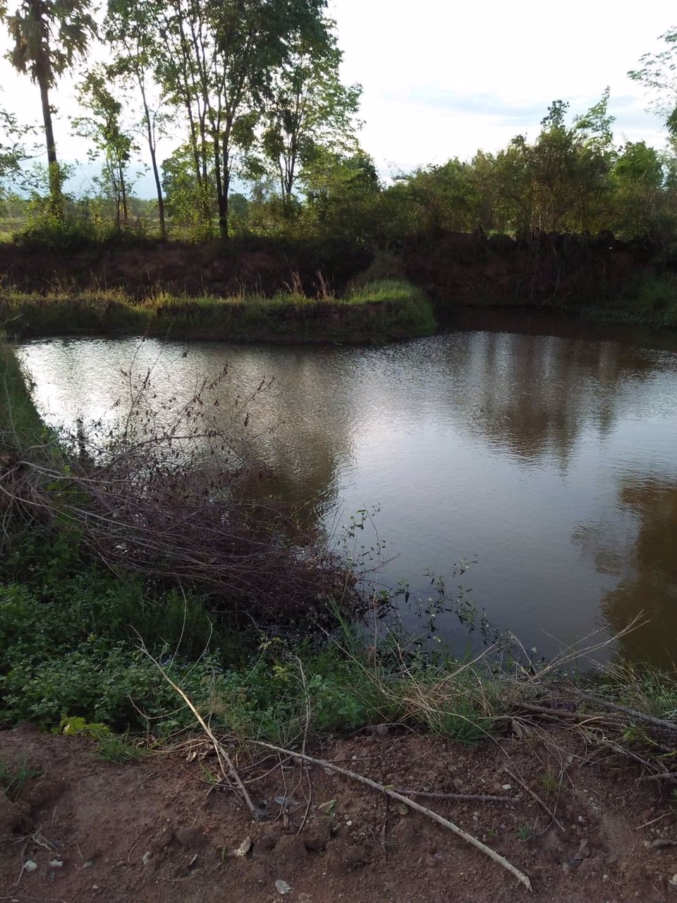 ที่ดิน-จเพรชบูรณ์