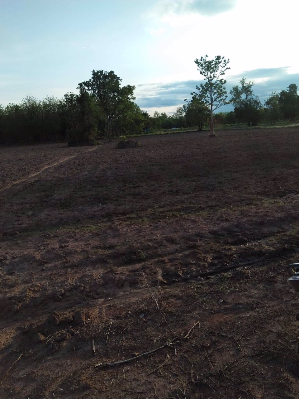 ที่ดิน-จเพรชบูรณ์