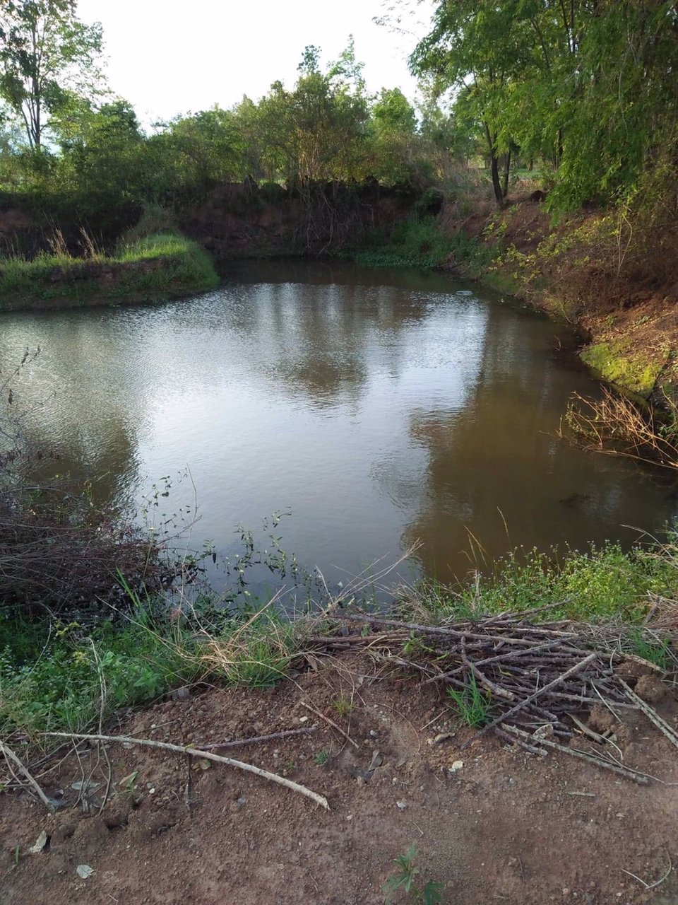 ที่ดิน-จเพรชบูรณ์