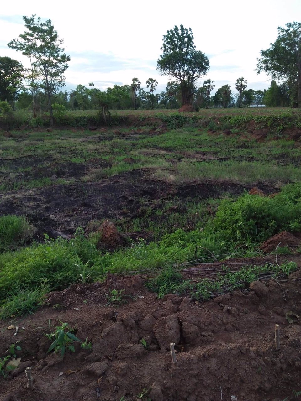 ที่ดิน-จเพรชบูรณ์