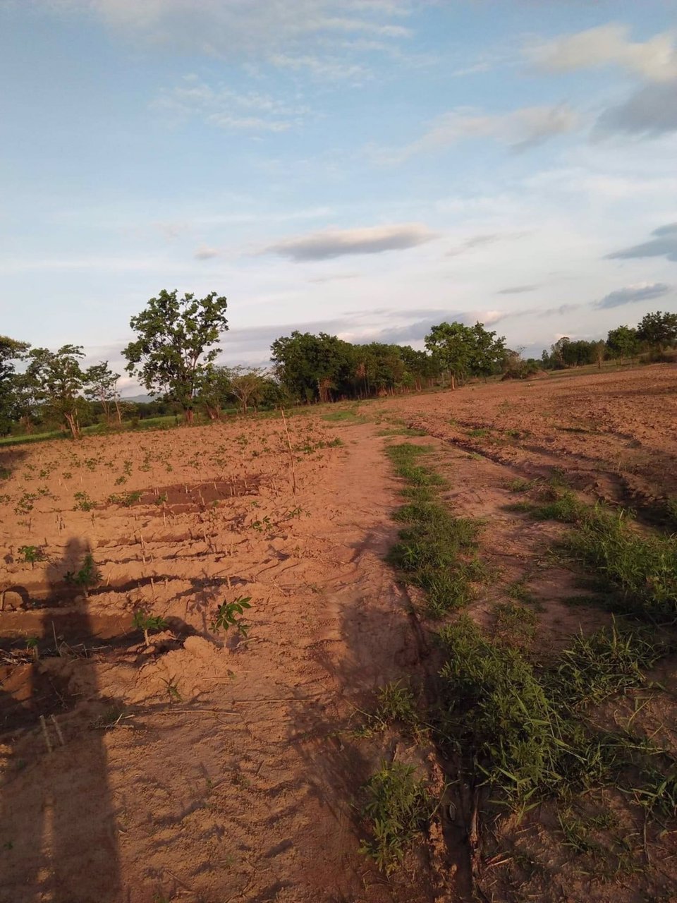 ที่ดิน-จเพรชบูรณ์