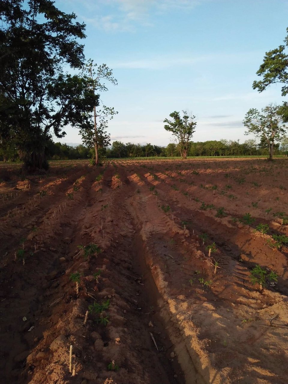 ที่ดิน-จเพรชบูรณ์