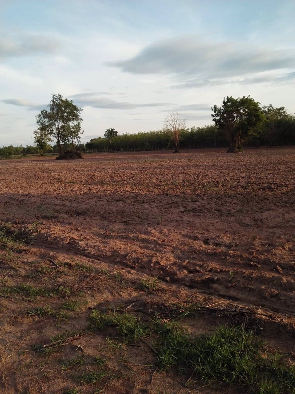 ที่ดิน-จเพรชบูรณ์