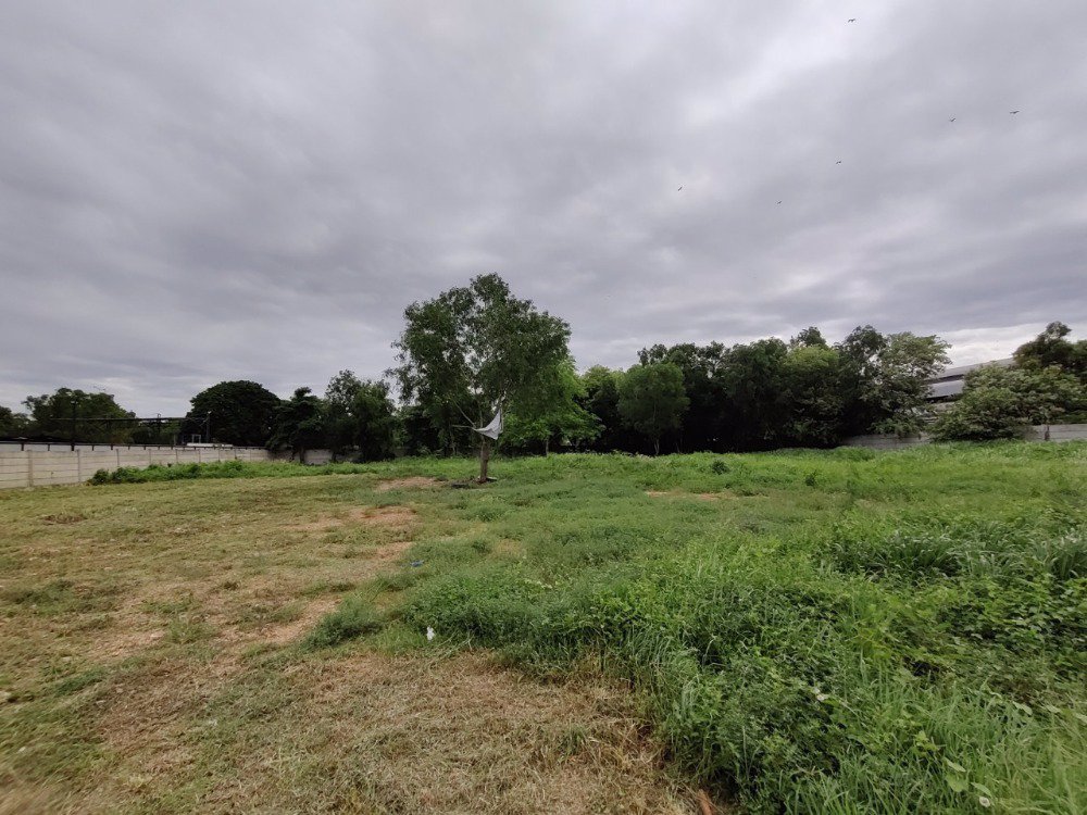 ขายที่ดิน-ใน-ซอยจตุโชติ4-เขตสายไหม-แขวงออเงิน-ใกล้ทางด่วนสุขาภิบาล-5