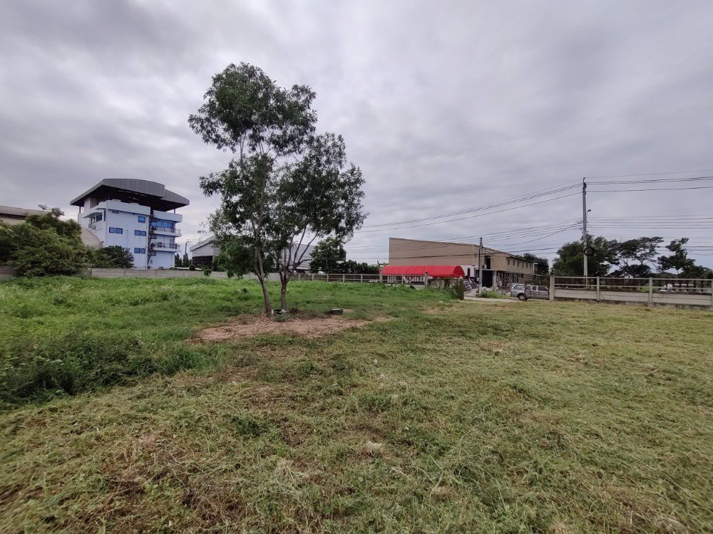 ขายที่ดิน-ใน-ซอยจตุโชติ4-เขตสายไหม-แขวงออเงิน-ใกล้ทางด่วนสุขาภิบาล-5