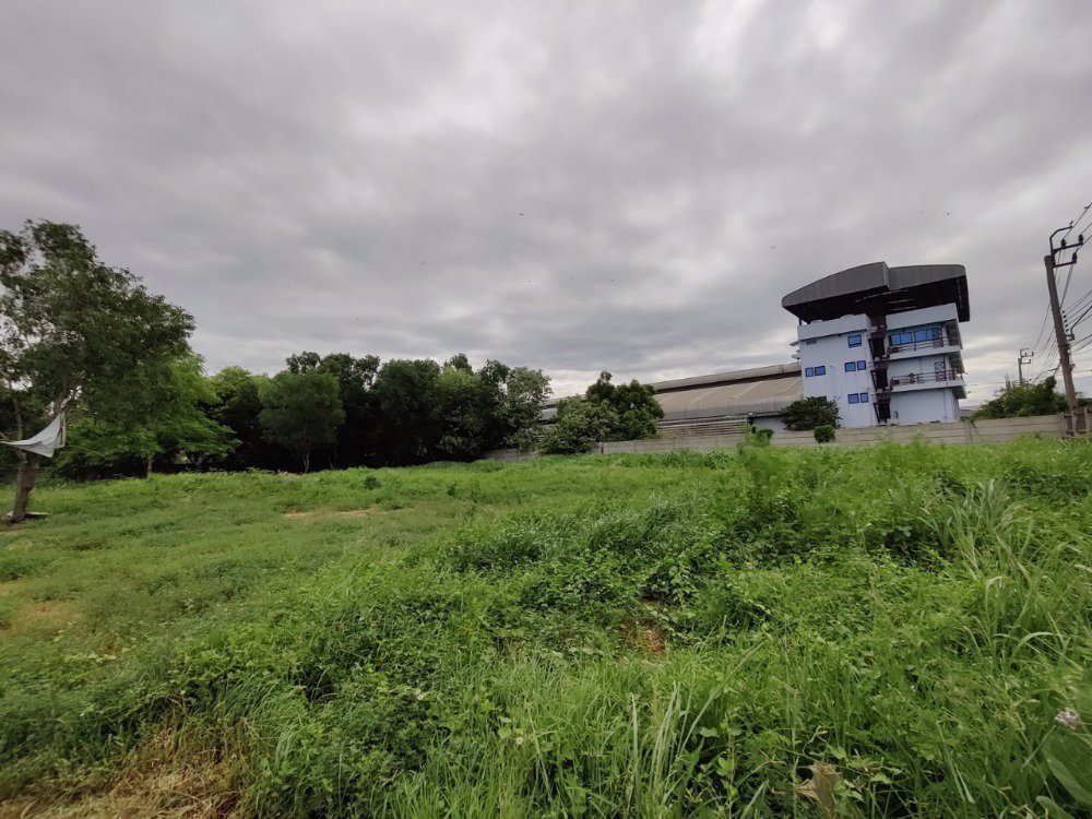 ขายที่ดิน-ใน-ซอยจตุโชติ4-เขตสายไหม-แขวงออเงิน-ใกล้ทางด่วนสุขาภิบาล-5