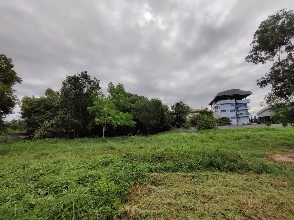 ขายที่ดิน-ใน-ซอยจตุโชติ4-เขตสายไหม-แขวงออเงิน-ใกล้ทางด่วนสุขาภิบาล-5