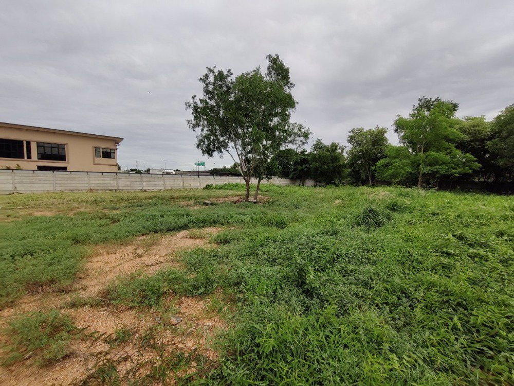 ขายที่ดิน-ใน-ซอยจตุโชติ4-เขตสายไหม-แขวงออเงิน-ใกล้ทางด่วนสุขาภิบาล-5