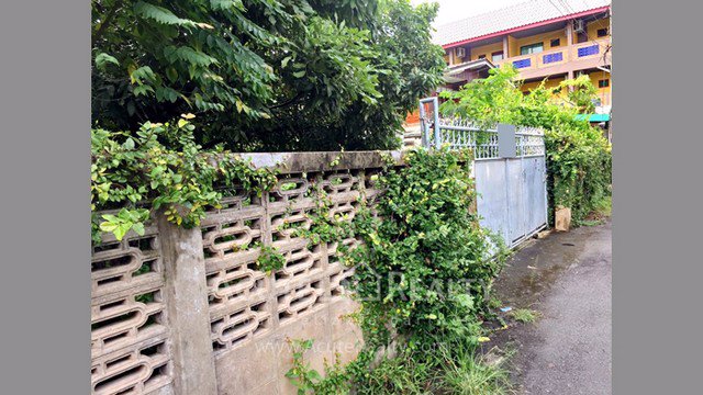 ขายที่ดินเปล่า-ใกล้ตลาดธานินทร์-ช้างเผือก-อเมืองเชียงใหม่-ขนาด-150-ตรว-ที่สวยและทำเลดีมาก