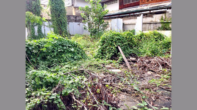 ขายที่ดินเปล่า-ใกล้ตลาดธานินทร์-ช้างเผือก-อเมืองเชียงใหม่-ขนาด-150-ตรว-ที่สวยและทำเลดีมาก