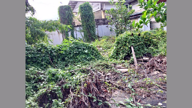 ขายที่ดินเปล่า-ใกล้ตลาดธานินทร์-ช้างเผือก-อเมืองเชียงใหม่-ขนาด-150-ตรว-ที่สวยและทำเลดีมาก