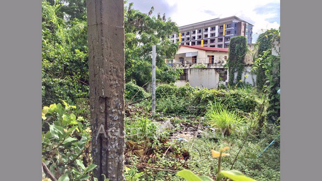 ขายที่ดินเปล่า-ใกล้ตลาดธานินทร์-ช้างเผือก-อเมืองเชียงใหม่-ขนาด-150-ตรว-ที่สวยและทำเลดีมาก