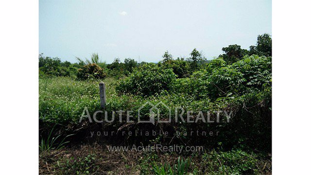 ขายที่ดินเปล่า-อำเภอฝาง-จังหวัดเชียงใหม่-ขนาด-1-0-8-ไร่-อยู่ในแหล่งชุมชน