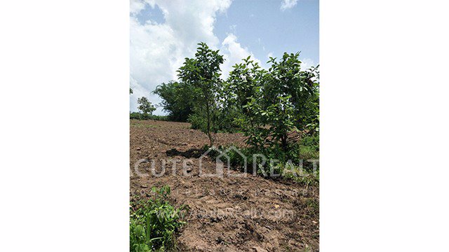 ขายที่ดินเปล่า-อำเภอฝาง-จังหวัดเชียงใหม่-ขนาด-1-0-8-ไร่-อยู่ในแหล่งชุมชน