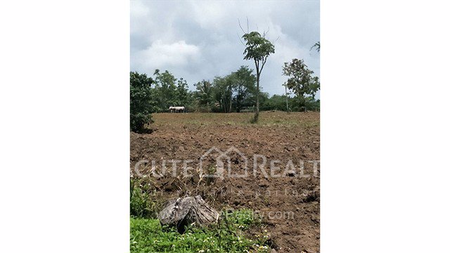 ขายที่ดินเปล่า-อำเภอฝาง-จังหวัดเชียงใหม่-ขนาด-1-0-8-ไร่-อยู่ในแหล่งชุมชน