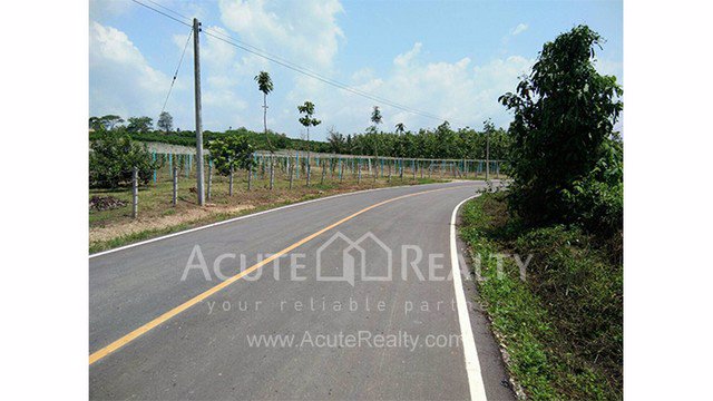 ขายที่ดินเปล่า-อำเภอฝาง-จังหวัดเชียงใหม่-ขนาด-1-0-8-ไร่-อยู่ในแหล่งชุมชน