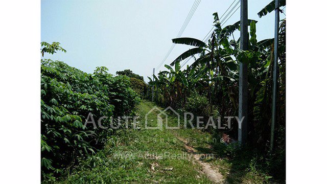 ขายที่ดินเปล่า-อำเภอฝาง-จังหวัดเชียงใหม่-ขนาด-1-0-8-ไร่-อยู่ในแหล่งชุมชน