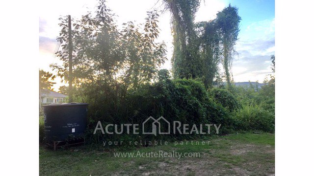 ขายที่ดินเปล่าตรงข้ามโลตัสหางดง-อเมืองเชียงใหม่-ขนาด-259-ตรว-วิวภูเขาดอยสุเทพ