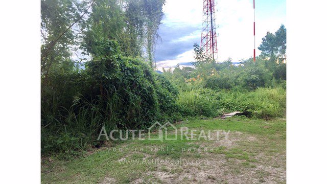 ขายที่ดินเปล่าตรงข้ามโลตัสหางดง-อเมืองเชียงใหม่-ขนาด-259-ตรว-วิวภูเขาดอยสุเทพ