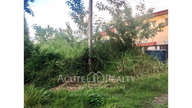 ขายที่ดินเปล่าตรงข้ามโลตัสหางดง-อเมืองเชียงใหม่-ขนาด-259-ตรว-วิวภูเขาดอยสุเทพ