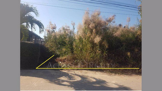 ขายที่ดินเปล่าทำเลดีที่สุดบนถนนสันทราย-ใกล้มหาวิทยาลัยแม่โจ้-ขนาดที่ดิน-3-2-75-ไร่-วิวภูเขาดอยสุเทพ