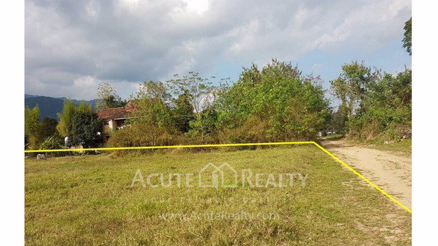 ขายที่ดินถนนคันคลองชลประทาน-ขนาด-1-1-77-ไร่-วิวดอยสุเทพ-ใกล้มหาวิทยาลัยเชียงใหม่