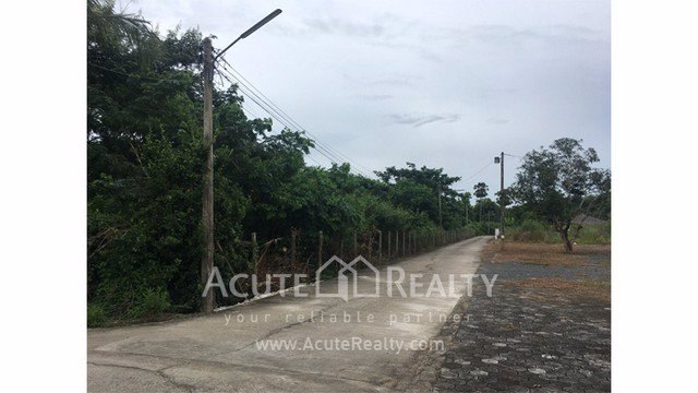 ขายที่ดินเปล่า-แปลงสวย-อสันทราย-เชียงใหม่-ขนาด-3-3-58-ไร่-เดินทางสะดวก