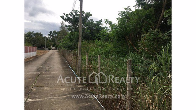 ขายที่ดินเปล่า-แปลงสวย-อสันทราย-เชียงใหม่-ขนาด-3-3-58-ไร่-เดินทางสะดวก