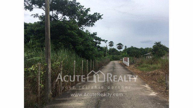 ขายที่ดินเปล่า-แปลงสวย-อสันทราย-เชียงใหม่-ขนาด-3-3-58-ไร่-เดินทางสะดวก