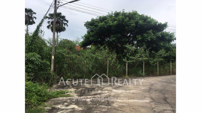 ขายที่ดินเปล่า-แปลงสวย-อสันทราย-เชียงใหม่-ขนาด-3-3-58-ไร่-เดินทางสะดวก