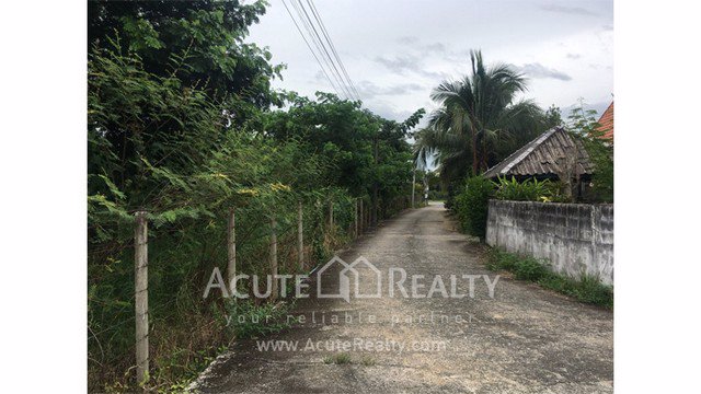 ขายที่ดินเปล่า-แปลงสวย-อสันทราย-เชียงใหม่-ขนาด-3-3-58-ไร่-เดินทางสะดวก