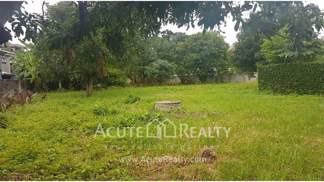 ขายที่ดินเปล่า-ถนนนันทาราม-ขนาดที่ดิน-1-0-699-ไร่-ใกล้ประตูท่าแพ