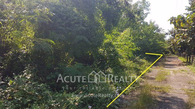 ขายที่ดินเปล่า-อดอยสะเก็ด-จเชียงใหม่-ขนาด-292-ตรว-ด้านหลังติดแม่น้ำ-ทำเลดี