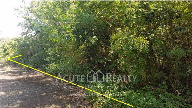 ขายที่ดินเปล่า-อดอยสะเก็ด-จเชียงใหม่-ขนาด-292-ตรว-ด้านหลังติดแม่น้ำ-ทำเลดี