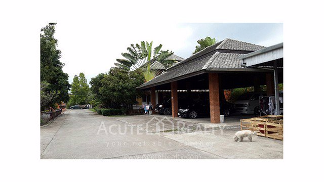 ขายบ้านพร้อมโกดัง-บ้านถวาย-หางดง-เชียงใหม่-ขนาดที่ดิน-3-1-80-ไร่-ใกล้กาดฝรั่ง