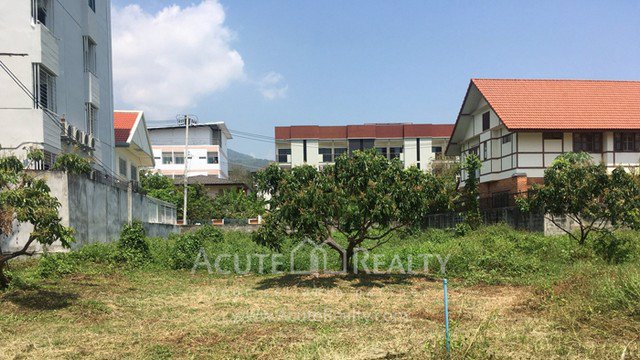 ขายที่ดินเปล่าในเมืองเชียงใหม่-เป็นที่ดินสวนลำไย-เนื้อที่-5-3-75-ไร่-ทำเลดีมาก-อยู่ใกล้มเชียงใหม่