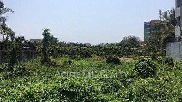 ขายที่ดินเปล่าในเมืองเชียงใหม่-เป็นที่ดินสวนลำไย-เนื้อที่-5-3-75-ไร่-ทำเลดีมาก-อยู่ใกล้มเชียงใหม่