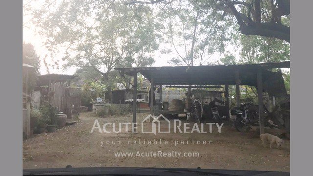 ขายที่ดินเปล่า-ตสันผีเสื้อ-จเชียงใหม่-ขนาดที่ดิน-177-ตรว-ใกล้เซ็นทรัลเฟสติวัล