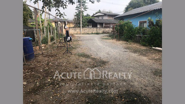 ขายที่ดินเปล่า-ตสันผีเสื้อ-จเชียงใหม่-ขนาดที่ดิน-177-ตรว-ใกล้เซ็นทรัลเฟสติวัล