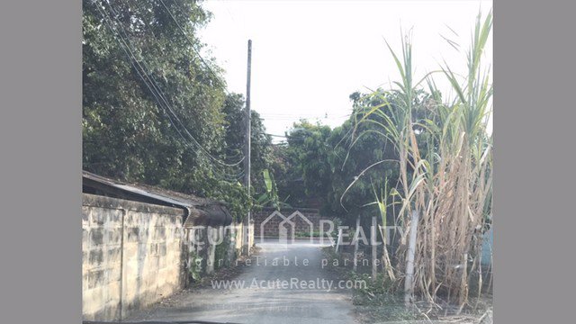 ขายที่ดินเปล่า-ตสันผีเสื้อ-จเชียงใหม่-ขนาดที่ดิน-177-ตรว-ใกล้เซ็นทรัลเฟสติวัล