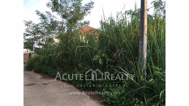 ายที่ดินเปล่าถมแล้ว-อเมือง-จเชียงใหม่-ขนาด-997-ตรว-ทำเลดี-ใกล้บิ้กซีแม่เหียะและถนนหลัก